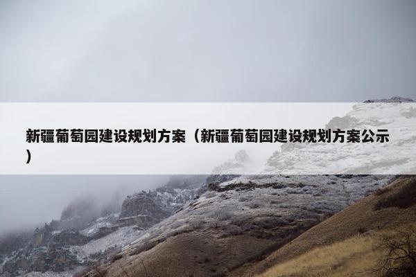 新疆葡萄园建设规划方案（新疆葡萄园建设规划方案公示）