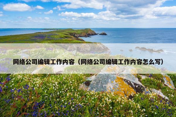 网络公司编辑工作内容（网络公司编辑工作内容怎么写）