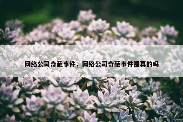 网络公司奇葩事件，网络公司奇葩事件是真的吗