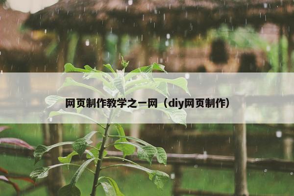 网页制作教学之一网（diy网页制作）