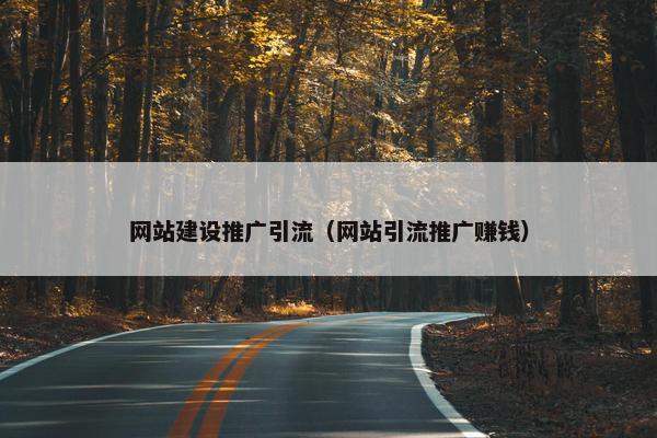 网站建设推广引流（网站引流推广赚钱）