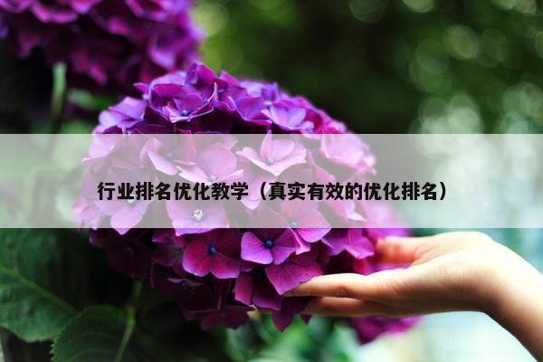 行业排名优化教学（真实有效的优化排名）