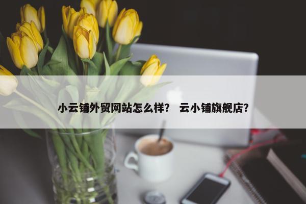 小云铺外贸网站怎么样？ 云小铺旗舰店？