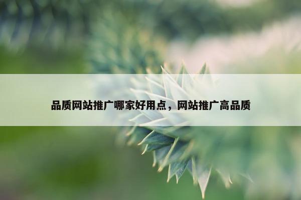 品质网站推广哪家好用点，网站推广高品质