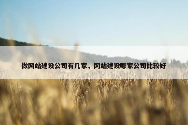 做网站建设公司有几家，网站建设哪家公司比较好