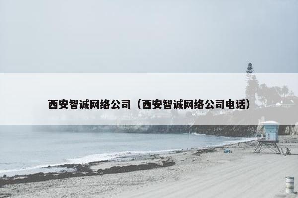 西安智诚网络公司（西安智诚网络公司电话）