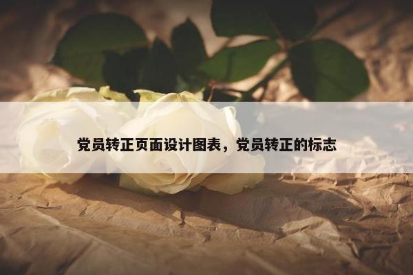 党员转正页面设计图表，党员转正的标志