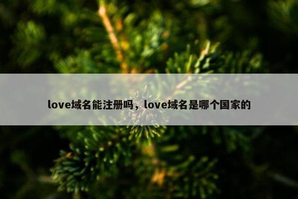 love域名能注册吗，love域名是哪个国家的
