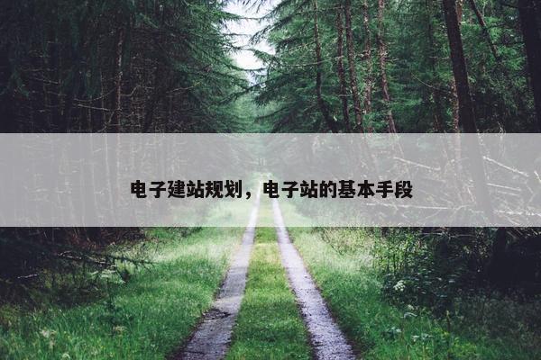 电子建站规划，电子站的基本手段