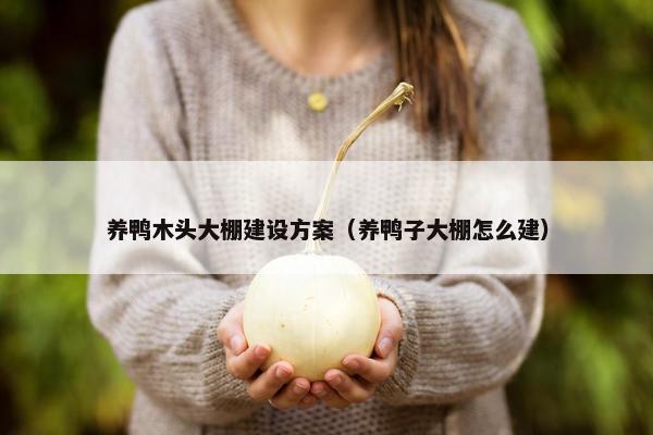 养鸭木头大棚建设方案（养鸭子大棚怎么建）