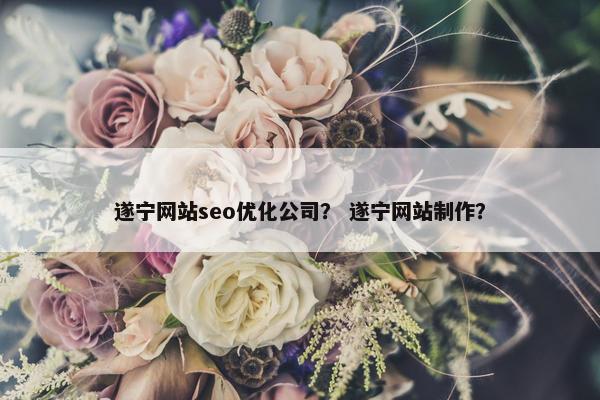 遂宁网站seo优化公司？ 遂宁网站制作？