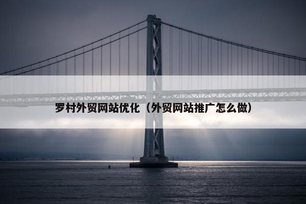 罗村外贸网站优化（外贸网站推广怎么做）