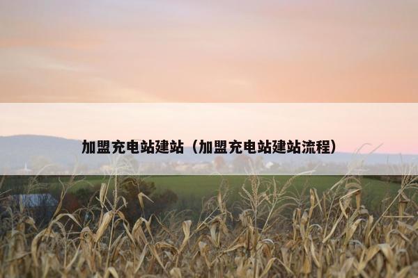 加盟充电站建站（加盟充电站建站流程）