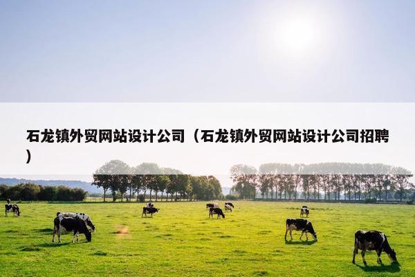 石龙镇外贸网站设计公司（石龙镇外贸网站设计公司招聘）
