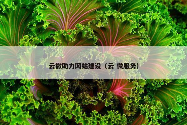 云微助力网站建设（云 微服务）
