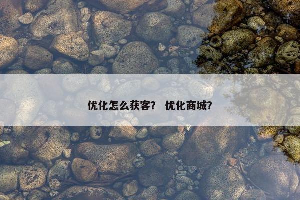优化怎么获客？ 优化商城？
