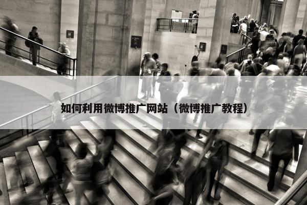 如何利用微博推广网站（微博推广教程）