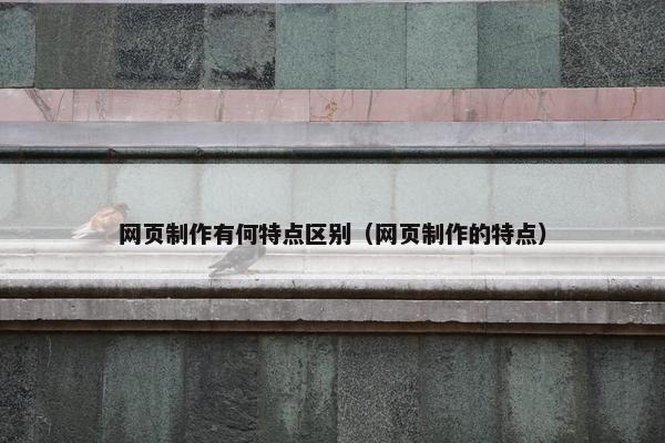 网页制作有何特点区别（网页制作的特点）