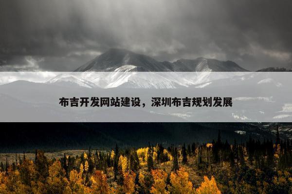 布吉开发网站建设，深圳布吉规划发展