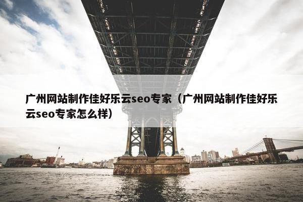 广州网站制作佳好乐云seo专家（广州网站制作佳好乐云seo专家怎么样）