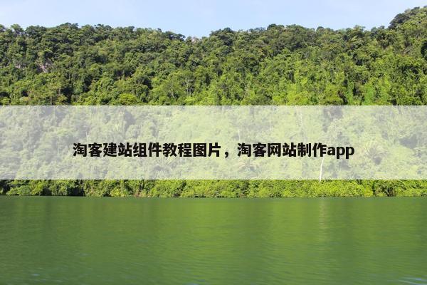 淘客建站组件教程图片，淘客网站制作app