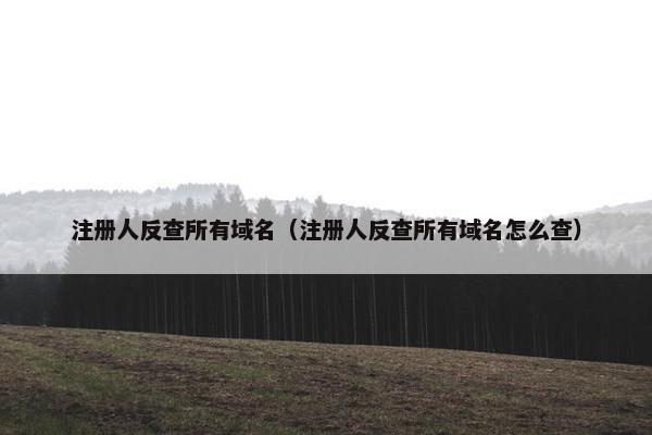 注册人反查所有域名（注册人反查所有域名怎么查）