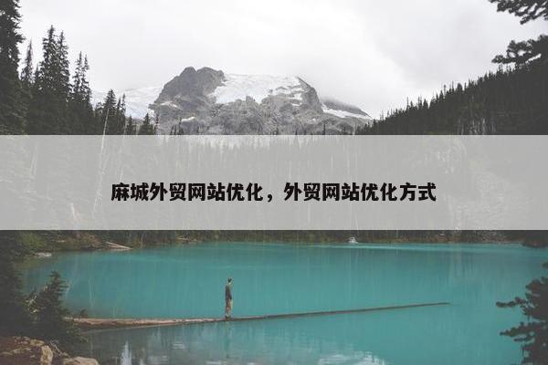 麻城外贸网站优化，外贸网站优化方式