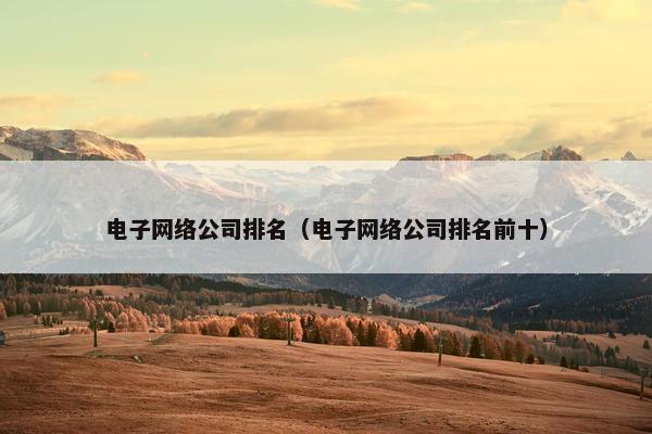 电子网络公司排名（电子网络公司排名前十）