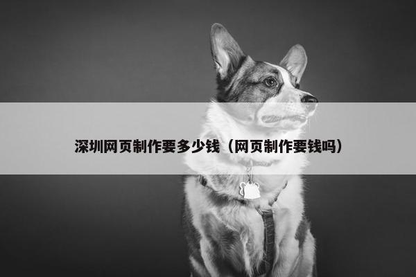 深圳网页制作要多少钱（网页制作要钱吗）