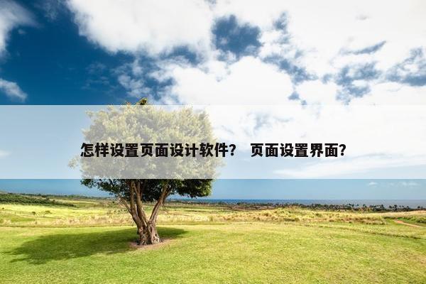 怎样设置页面设计软件？ 页面设置界面？
