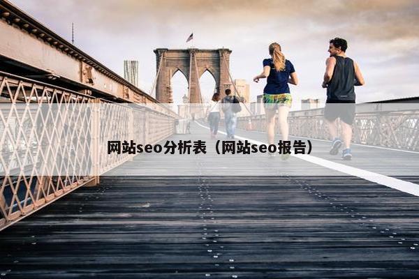 网站seo分析表（网站seo报告）