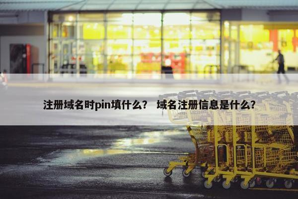 注册域名时pin填什么？ 域名注册信息是什么？