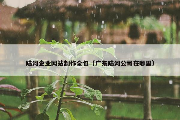 陆河企业网站制作全包（广东陆河公司在哪里）