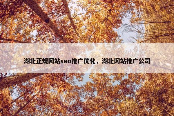 湖北正规网站seo推广优化，湖北网站推广公司