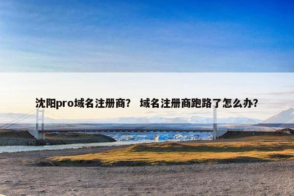 沈阳pro域名注册商？ 域名注册商跑路了怎么办？