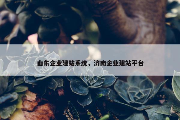 山东企业建站系统，济南企业建站平台