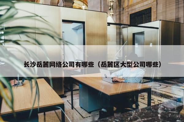长沙岳麓网络公司有哪些（岳麓区大型公司哪些）