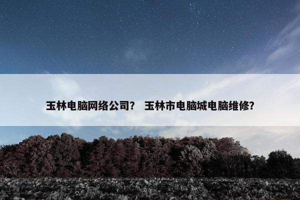 玉林电脑网络公司？ 玉林市电脑城电脑维修？