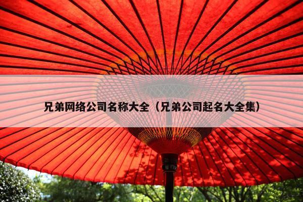 兄弟网络公司名称大全（兄弟公司起名大全集）