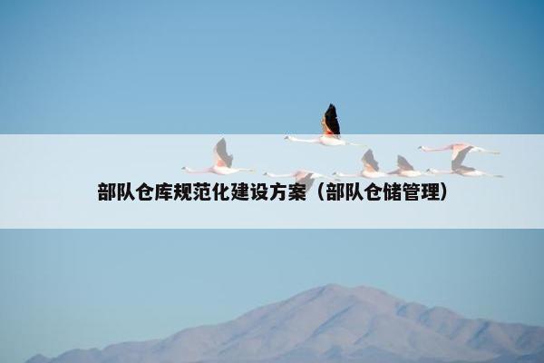 部队仓库规范化建设方案（部队仓储管理）