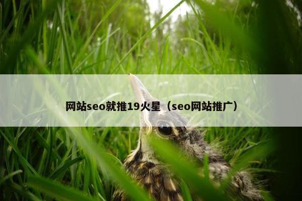 网站seo就推19火星（seo网站推广）