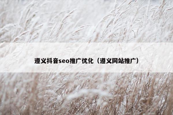 遵义抖音seo推广优化（遵义网站推广）