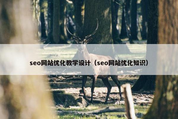 seo网站优化教学设计（seo网站优化知识）