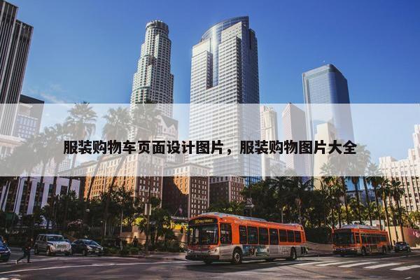 服装购物车页面设计图片，服装购物图片大全
