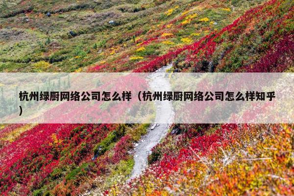 杭州绿厨网络公司怎么样（杭州绿厨网络公司怎么样知乎）