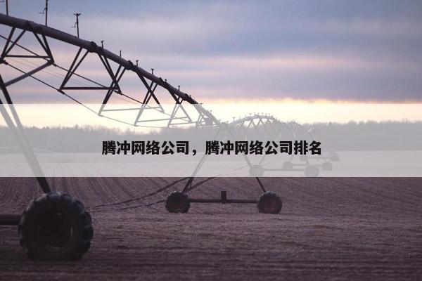 腾冲网络公司，腾冲网络公司排名