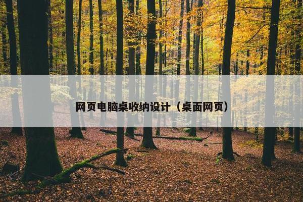网页电脑桌收纳设计（桌面网页）