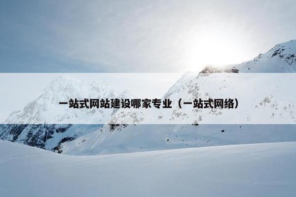 一站式网站建设哪家专业（一站式网络）
