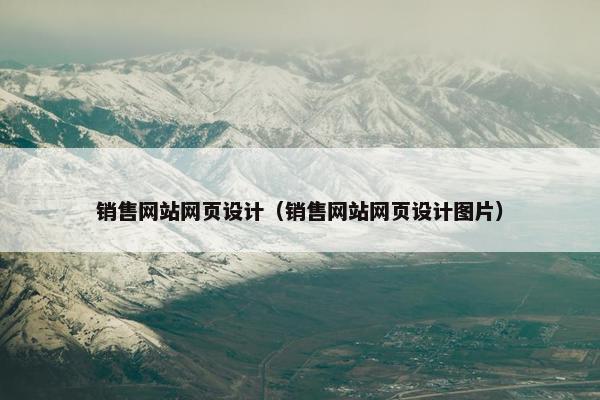 销售网站网页设计（销售网站网页设计图片）