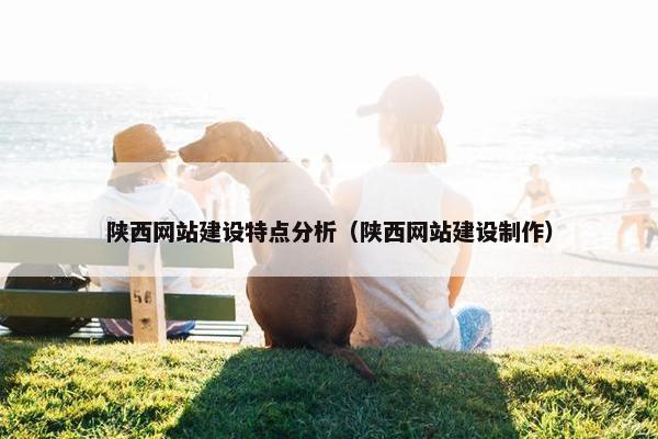 陕西网站建设特点分析（陕西网站建设制作）